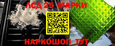 прущие грибы Жуковский