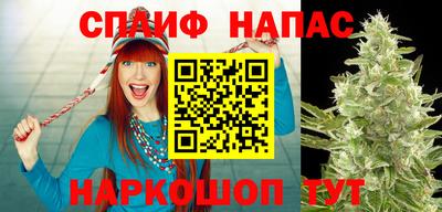 прущие грибы Жуковский