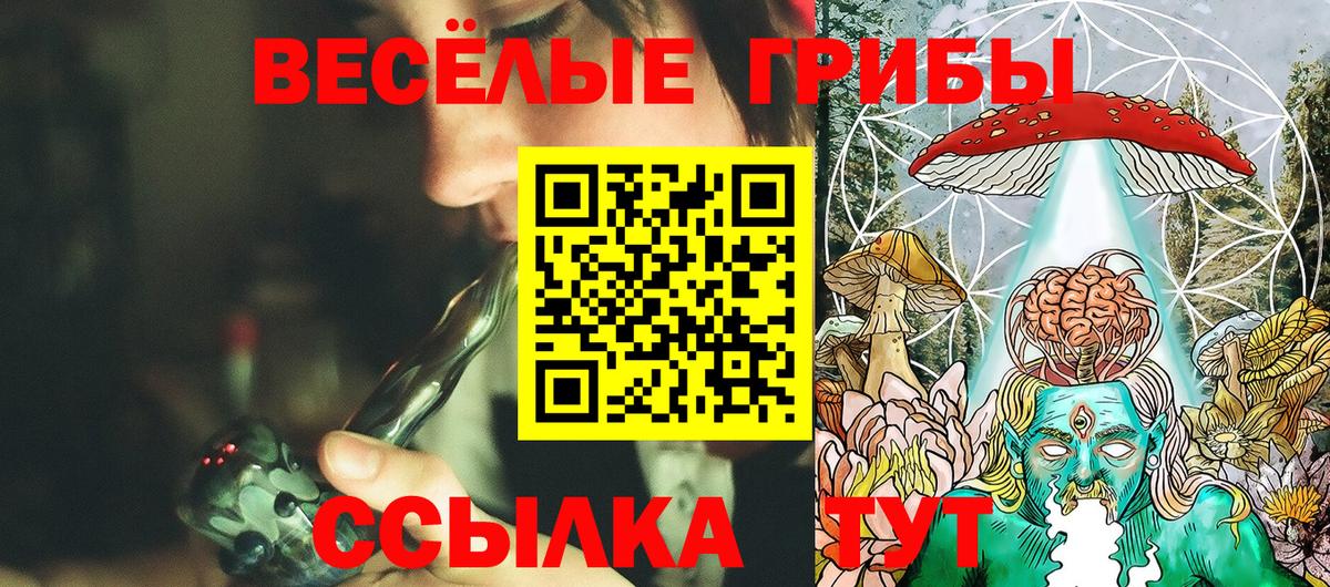 Галлюциногенные грибы GOLDEN TEACHER Лениногорск
